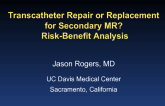 Transcatheter Repair or Replacement for Secondary MR? Risk-Benefit Analysis