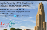 Assessing the Severity of TR: Challenges, Inconsistencies, and Grading Schemes