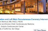 Left Main and Bifurcation Interventions