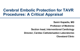 Cerebral Embolic Protection for TAVR Procedures: A Critical Appraisal