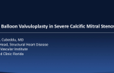 Case #5: Mitral Valvuloplasty in a Patient With Severe Mitral Stenosis From Mitral Annular Calcification