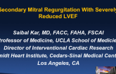 Secondary Mitral Regurgitation With Severely Reduced LVEF