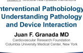 Interventional Pathobiology: Understanding Pathology and Device Interaction