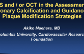 IVUS and/or OCT in the Assessment of Coronary Calcification and Guidance of Plaque Modification Strategies