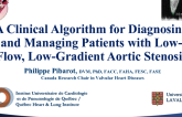A Clinical Algorithm for Diagnosing and Managing Patients with Low-Flow, Low-Gradient Aortic Stenosis
