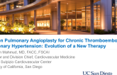 Balloon Pulmonary Angioplasty for CTEPH: Evolution of a New Therapy for CTEPH