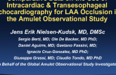 TCT-104: Comparative Data on the Use of Intracardiac and Transesophageal Echocardiography for Left Atrial Appendage Occlusion in the Amulet Observational Study