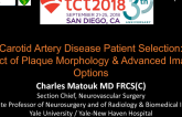 Carotid Artery Disease Patient Selection: Impact of Plaque Morphology and Advanced Imaging Options
