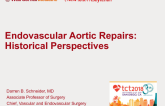 Endovascular Aortic Repairs: Historical Perspectives