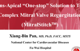Trans-Apical “One-Stop" Solution to Treat Complex Mitral Valve Regurgitation (MitralStitchTM)