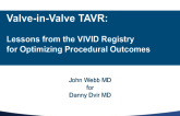 Clinical Lessons from the Global Aortic VIVID Registry – Optimizing Procedural Outcomes