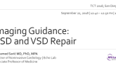 Imaging Guidance I: Percutaneous ASD & VSD Repair