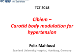 Transcatheter Carotid Body Denervation (Cibiem): Extended Follow-Up and Future Directions