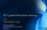 Structured OCT Guidance for Left Main Bifurcation Stenting