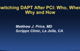 Switching Dual Antiplatelet Therapy After PCI: Who, When, Why, and How?