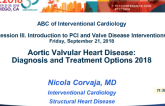 Aortic Valvular Heart Disease: Diagnosis and Treatment Options 2018