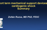 What Interventionalist Should Know About Using ECMO-Assisted Coronary Intervention in Cardiogenic Shock