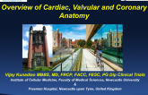 Overview of Cardiac, Valvular, and Coronary Anatomy