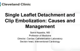 Single Leaflet Detachment and Clip Embolization: Causes and Management