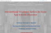 Interventional Treatment Options for Acute Type B Aortic Dissection