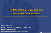 The Panorama of Expected and Unexpected Complications of TMVR