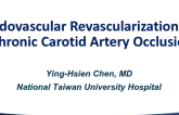 Taiwan Presents: Endovascular Revascularization of Chronic Carotid Artery Occlusion