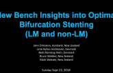 New Bench Insights Into Optimal Bifurcation Stenting (LM and Non-LM)