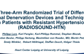 RADIOSOUND-HTN: A Three-Arm Randomized Trial of Different Renal Denervation Devices and Techniques in Patients With Resistant Hypertension
