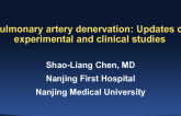 Pulmonary Artery Denervation: Updates of Experimental and Clinical Studies