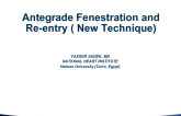 Case #4: Antegrade Fenestration and Re-Entry – A New Technique