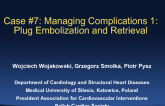 Case #7: Managing Complications 1: Plug Embolization and Retrieval