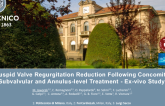 TCT-17: Tricuspid Valve Regurgitation Reduction Following Concomitant Subvalvular and Annulus-Level Treatment – Ex-Vivo Study