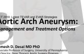 Aortic Arch Aneurysm: Management and Treatment Options With Case Examples
