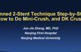 Planned 2-Stent Technique Step-by-Step: How to Crush, Mini-Crush, and DK Crush