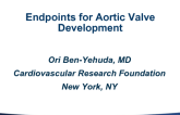 The Endpoints for Aortic Valve Development