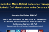 TCT-65: High-Definition Micro-Optical Coherence Tomography for Endothelial Cell Visualization in the Coronary Arteries