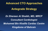 Case #3: Antegrade Strategy