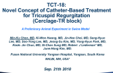 TCT-18: Novel Concept Of Catheter-Based Treatment For Tricuspid Regurgitation (Cerclage-TR Block): A Preliminary Animal Experiment in a Swine Model