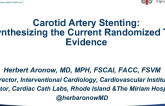 Carotid Artery Stenting: Synthesizing the Current Randomized Trial Evidence