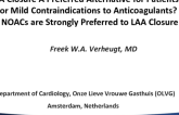 Debate: Is LAA Closure a Valid Alternative for Patients With No or Mild Contraindications to Anticoagulants? No – NOACs Are Strongly Preferred to LAA Closure!