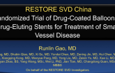 RESTORE SVD China: Randomized Trial of Drug-Coated Balloons vs Drug-Eluting Stents for Treatment of Small Vessel Disease