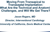 Moving From Transapical to Transseptal Implantation: What Are the Technical and Anatomic Challenges, and Will We Get There?