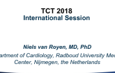 The Netherlands Discusses: How Would I Approach This Patient (and Multivessel Disease in STEMI in General)?