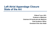 LAA Closure 1: State-of-the-art