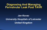 Diagnosing and Managing Perivalvular Leak in Post-TAVR Patients
