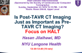 Is Post-TAVR CT Imaging Just as Important as Pre-TAVR CT Imaging? Focus on HALT