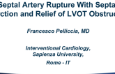 Case #2: Septal Artery Rupture With Septal Infarction and Relief of LVOT Obstruction