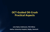 OCT-Guided DK-Crush: Practical Aspects