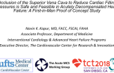 Occlusion of the Superior Vena Cava to Reduce Cardiac Filling Pressures is Safe and Feasible in Acutely Decompensated Heart Failure: A First-in-Man Proof of Concept Study