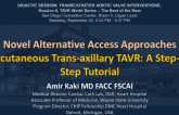 Percutaneous Trans-axillary TAVR: A Step-by-Step Tutorial